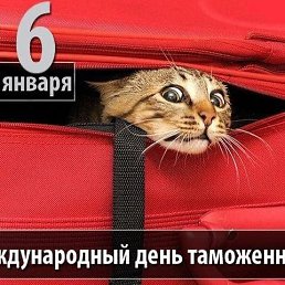 ���� ��������, ������, 38 ��� - ��������� 26 ������ 2026