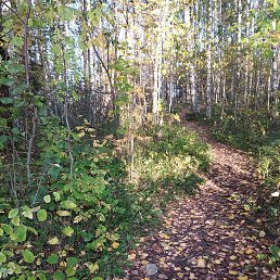 ������, ������������, 67 ���