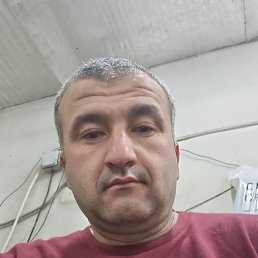 ���� ����, �����������, 41 ��� - ��������� 3 ���� 2025