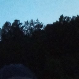 , , 28 
