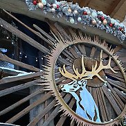 �����, 55 ���, ������