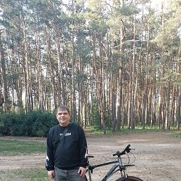 , 34 , 