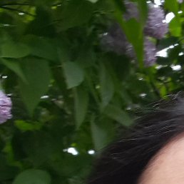 �����, �����