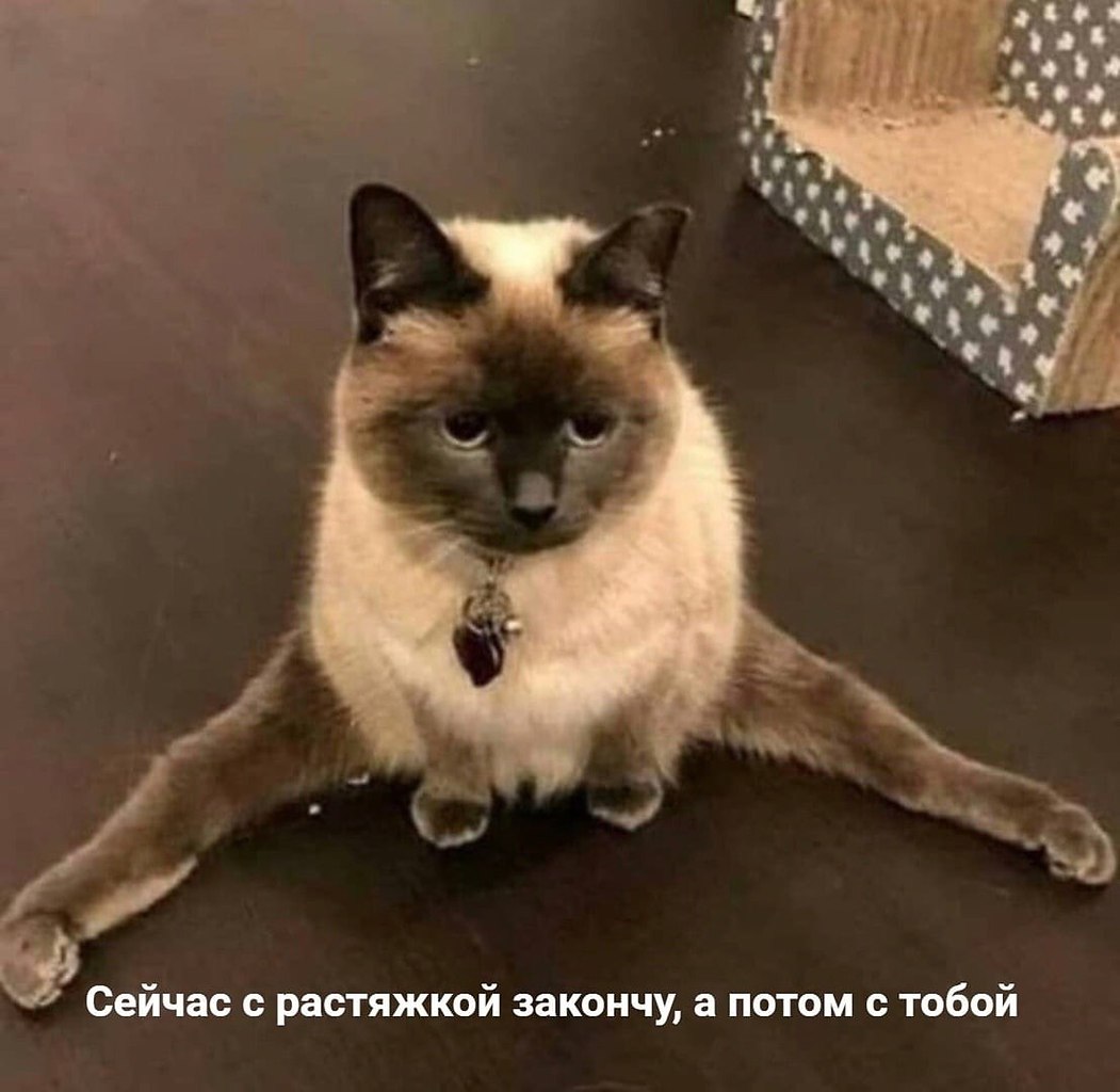    - 28  2024  14:15