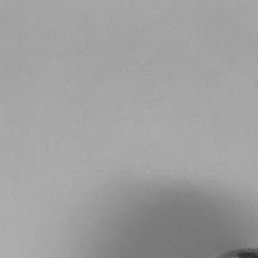 �����, ����, 24 ����