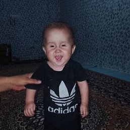 ���� ��������, ������, 55 ��� - ��������� 11 ������� 2026