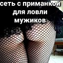 ���� Catkir, �����, 48 ��� - ��������� 26 ������ 2024 � ������ ���� ����������