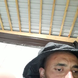 , 29, 