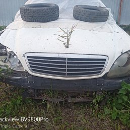 ���������, ����, 29 ���