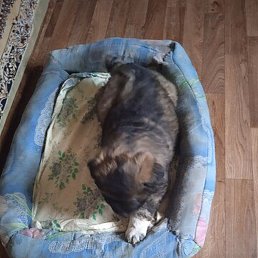 ����, ������, 53 ����