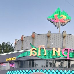 , 41, 