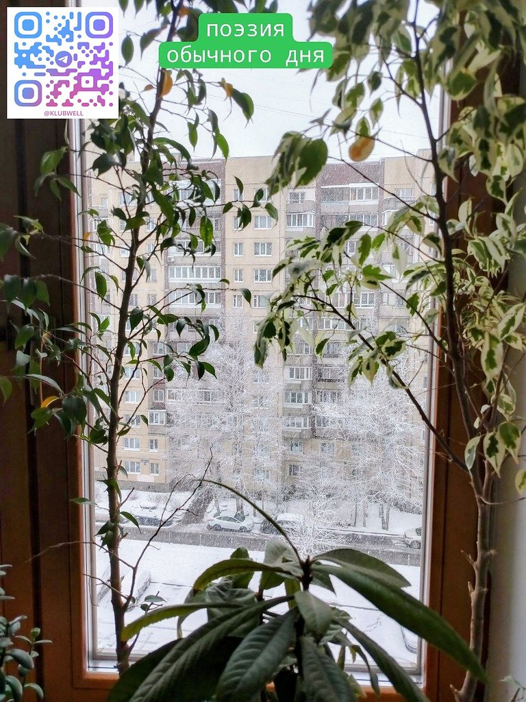 �������� � ������, ����������� � ����, � ��� ��� ������ ������. � ����� ������� ������ ��������� ... - 2