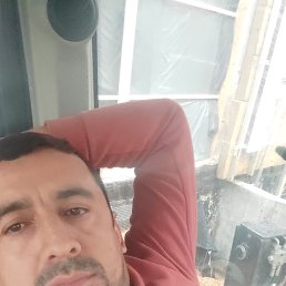 ����, �����, 36 ���