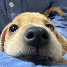 ���� ������, �����������, 24 ���� - ��������� 7 �������� 2024