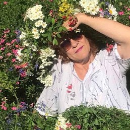 �����, ������, 59 ���