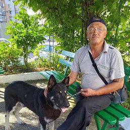 , 58 , 