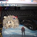 ���� ����, ��������� - ��������� 6 ������ 2026 � ������ ���� ����������