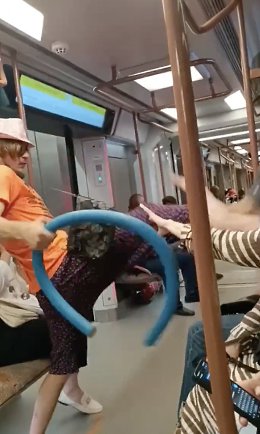 �����������