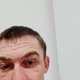 �������, 40 ���, ���������