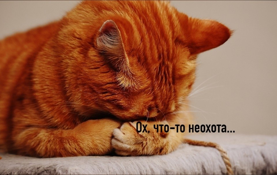       - 30  2025  21:49 - 3