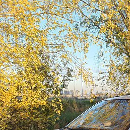 ������, ����, 63 ����