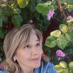 , 61, 
