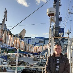 �������, ���������, 43 ����