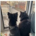 ���� ������, �����-���������, 72 ���� - ��������� 15 ������ 2025 � ������ ������ ��������