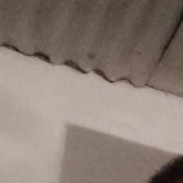 ������, ������, 31 ���