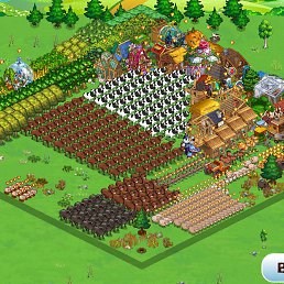 ���� ����, ��������������, 54 ���� - ��������� 5 ���� 2025