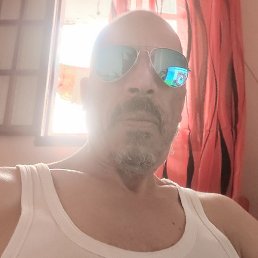 Alg, ����, 50 ���