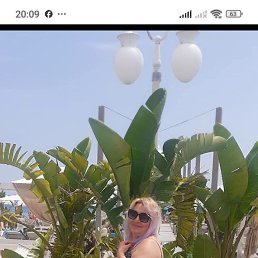 ���� �����, ���������� �����, 53 ���� - ��������� 18 �������� 2026