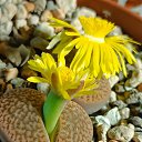 ���� �������, �����, 62 ���� - ��������� 2 ������ 2024 � ������ ���� �����