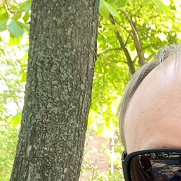 ��������, ������, 35 ���