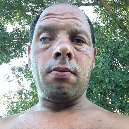 ����, �����, 36 ���