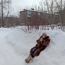 ���� ������, ��������, 75 ��� - ��������� 3 ����� 2026 � ������ �� �������