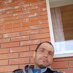 ����, 38 ���, �����