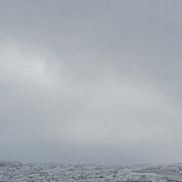 ������, ����������, 26 ���