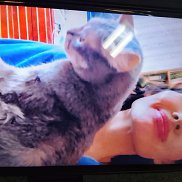 ����� ������, 35 ���, ������