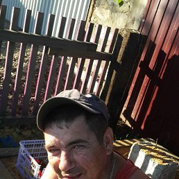 ����, 43 ����, ����