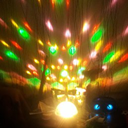 ���� �������, �����, 48 ��� - ��������� 24 ������ 2024