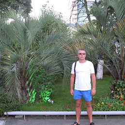 �������, ������, 42 ����