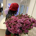 ���� �����, ������ - ��������� 28 ������� 2024