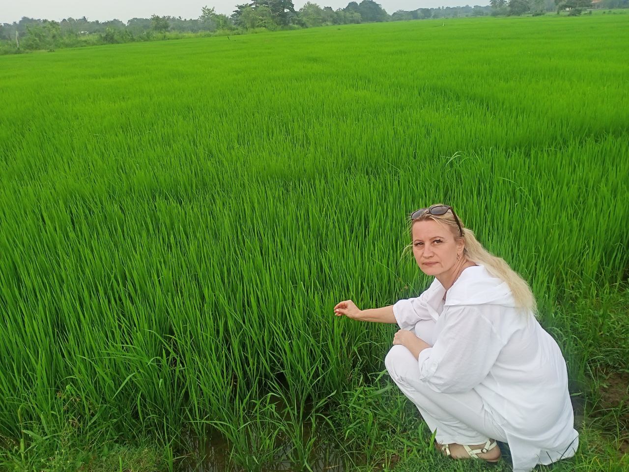 ����� - 10 ������ 2023 � 23:31