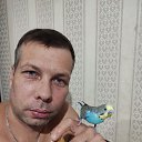 ���� �����, ������, 37 ��� - ��������� 11 ������ 2024 � ������ ���� ����������