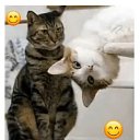 ���� �����, ������ ����� - ��������� 18 ������ 2026 � ������ ������ ��������