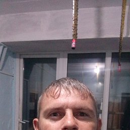 , 33 , 