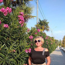 �����, ������, 58 ���