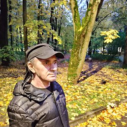 , 55, -