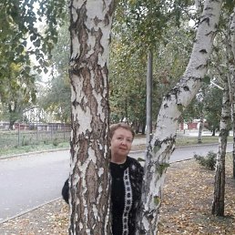 , 59, 